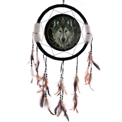 Dreamcatcher (Medium) - Lisa Parker Wild One Wolf