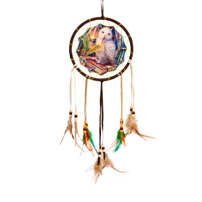 Dreamcatcher (Small) - Lisa Parker Guardian of Spells Owl