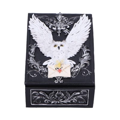Owl Messenger Box 14cm
