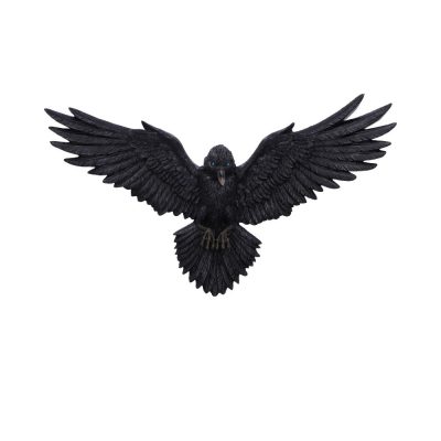 Flight of the Raven 35cm