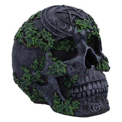 Aged Pentagram Skull 18.8cm
